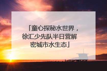 童心探秘水世界，徐汇少先队半日营解密城市水生态