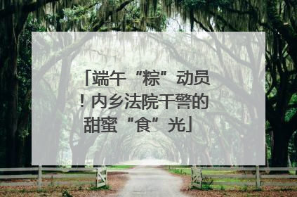 端午“粽”动员！内乡法院干警的甜蜜“食”光