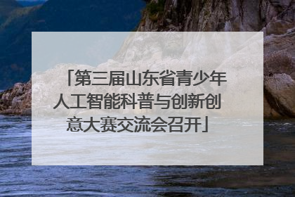 第三届山东省青少年人工智能科普与创新创意大赛交流会召开