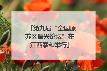 第九届“全国原苏区振兴论坛”在江西泰和举行