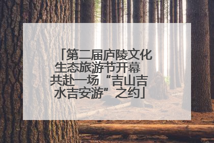 第二届庐陵文化生态旅游节开幕 共赴一场“吉山吉水吉安游”之约