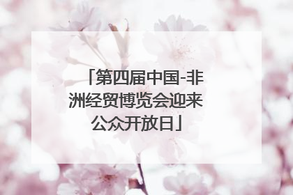 第四届中国-非洲经贸博览会迎来公众开放日
