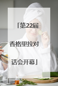 第22届香格里拉对话会开幕