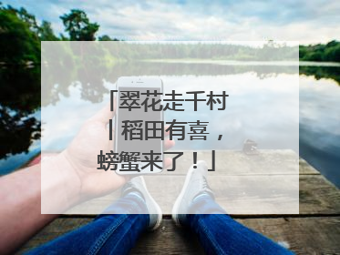 翠花走千村丨稻田有喜，螃蟹来了！