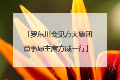罗东川会见方大集团董事局主席方威一行