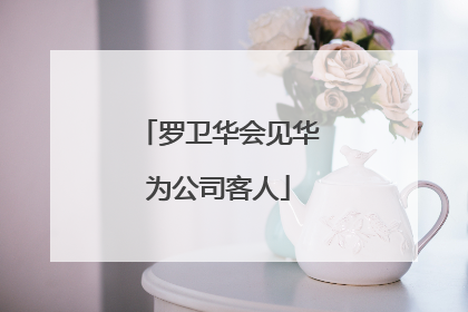 罗卫华会见华为公司客人