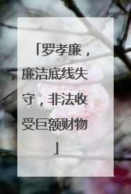 罗孝廉，廉洁底线失守，非法收受巨额财物
