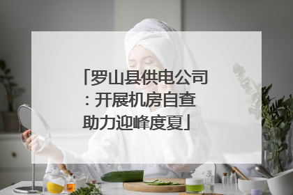 罗山县供电公司：开展机房自查 助力迎峰度夏