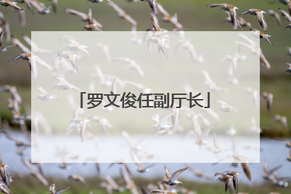罗文俊任副厅长