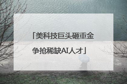 美科技巨头砸重金争抢稀缺AI人才