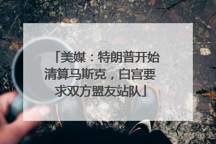 美媒：特朗普开始清算马斯克，白宫要求双方盟友站队