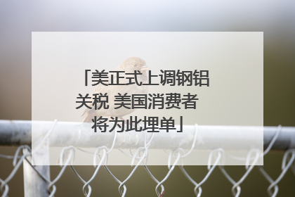美正式上调钢铝关税 美国消费者将为此埋单