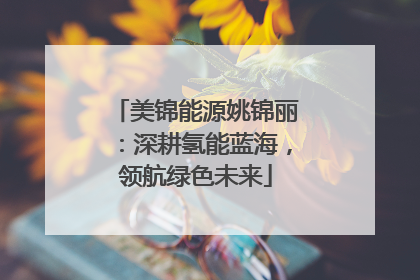 美锦能源姚锦丽：深耕氢能蓝海，领航绿色未来