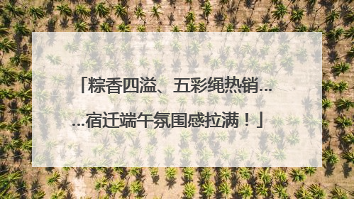 粽香四溢、五彩绳热销……宿迁端午氛围感拉满！