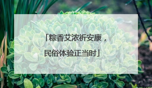 粽香艾浓祈安康，民俗体验正当时