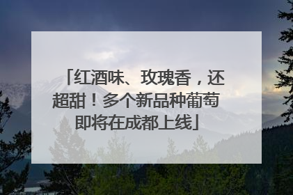 红酒味、玫瑰香，还超甜！多个新品种葡萄即将在成都上线
