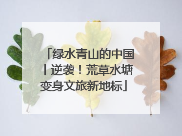 绿水青山的中国丨逆袭！荒草水塘变身文旅新地标
