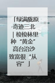 绿满陇原·奇迹三北｜梭梭林里种“黄金” 高台治沙致富很“从容”