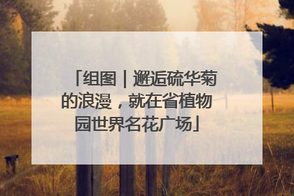 组图｜邂逅硫华菊的浪漫，就在省植物园世界名花广场