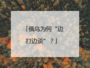 俄乌为何“边打边谈”？