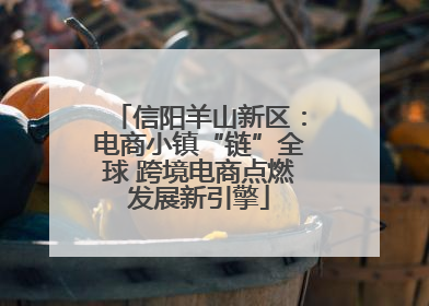 信阳羊山新区：电商小镇“链”全球 跨境电商点燃发展新引擎