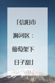 信阳市浉河区：葡萄架下日子甜