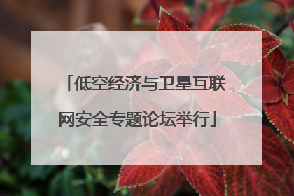 低空经济与卫星互联网安全专题论坛举行