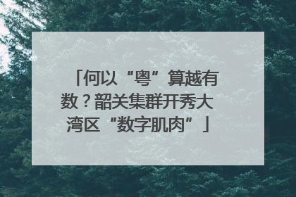 何以“粤”算越有数？韶关集群开秀大湾区“数字肌肉”