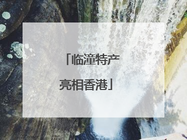 临潼特产亮相香港