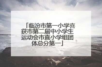 临汾市第一小学喜获市第二届中小学生运动会市直小学组团体总分第一