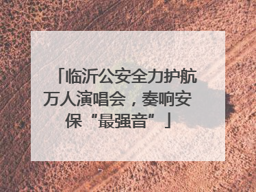 临沂公安全力护航万人演唱会，奏响安保“最强音”