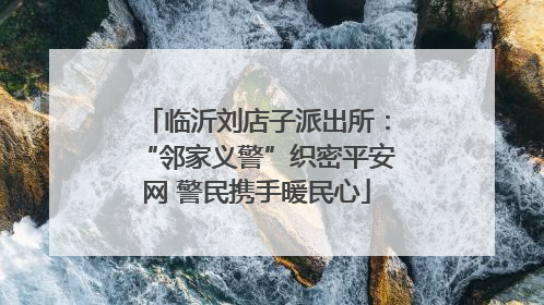 临沂刘店子派出所：“邻家义警”织密平安网 警民携手暖民心