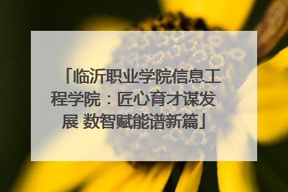 临沂职业学院信息工程学院：匠心育才谋发展 数智赋能谱新篇