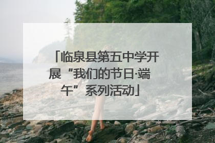 临泉县第五中学开展“我们的节日·端午”系列活动