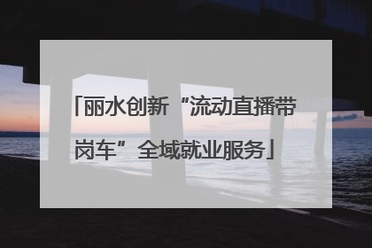 丽水创新“流动直播带岗车”全域就业服务