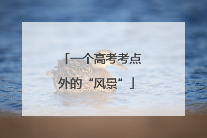 一个高考考点外的“风景”