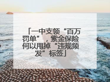 一中支领“百万罚单”，紫金保险何以甩掉“违规频发”标签