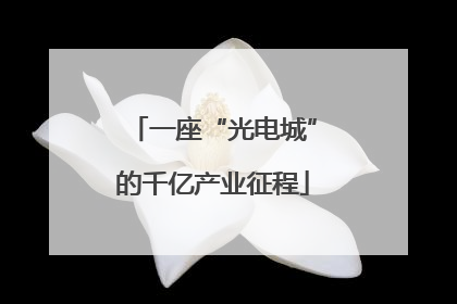 一座“光电城”的千亿产业征程