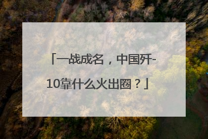 一战成名，中国歼-10靠什么火出圈？