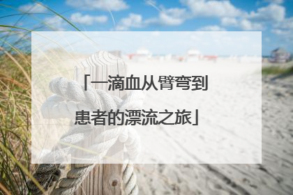 一滴血从臂弯到患者的漂流之旅