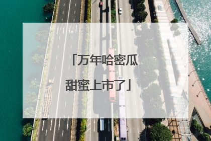 万年哈密瓜甜蜜上市了