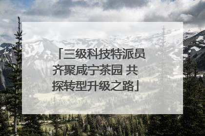 三级科技特派员齐聚咸宁茶园 共探转型升级之路