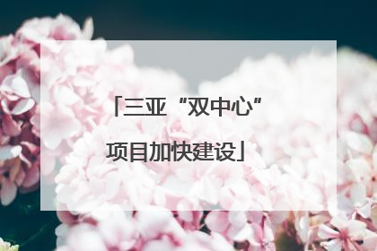 三亚“双中心”项目加快建设