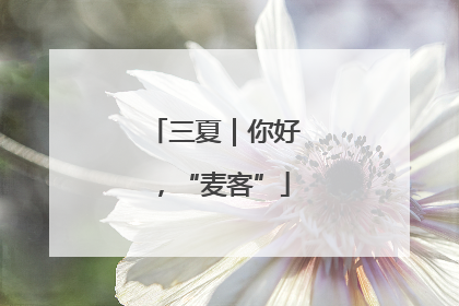 三夏｜你好，“麦客”