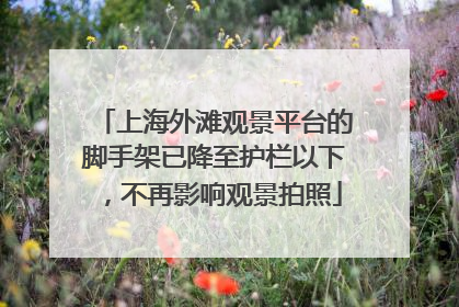 上海外滩观景平台的脚手架已降至护栏以下，不再影响观景拍照