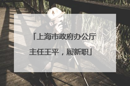 上海市政府办公厅主任王平，履新职