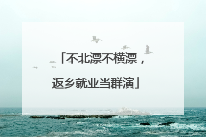 不北漂不横漂，返乡就业当群演