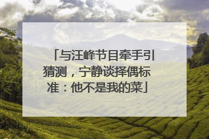 与汪峰节目牵手引猜测，宁静谈择偶标准：他不是我的菜