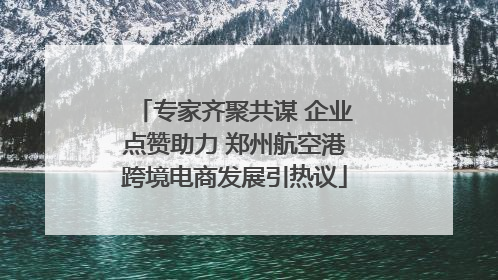 专家齐聚共谋 企业点赞助力 郑州航空港跨境电商发展引热议