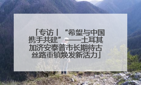 专访丨“希望与中国携手共建”——土耳其加济安泰普市长期待古丝路重镇焕发新活力